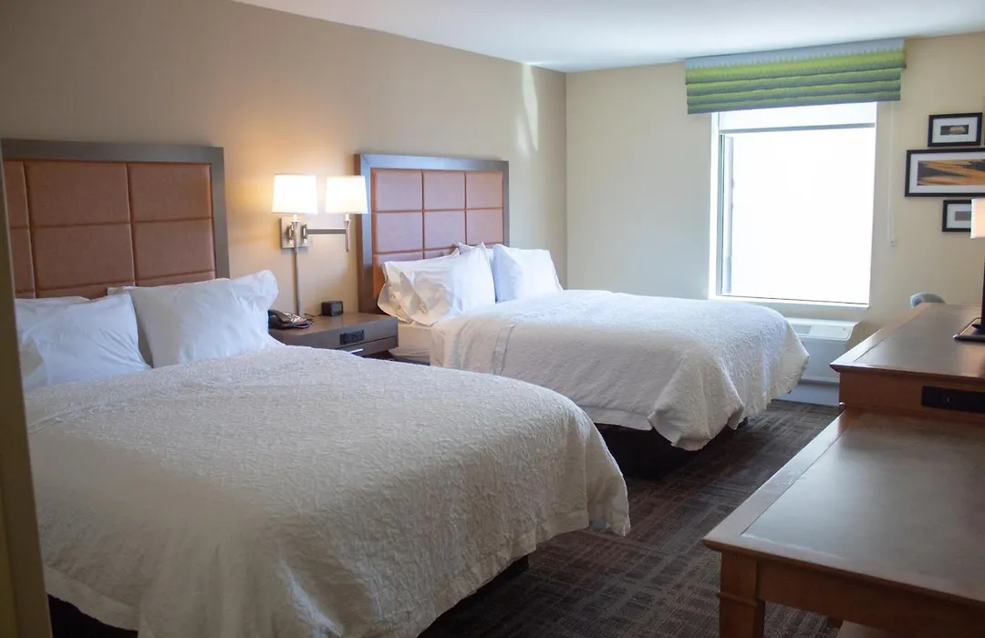 Hampton Inn & Suites Big Rapids, Mi-1
