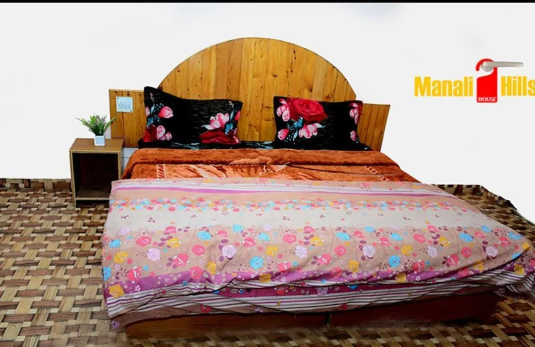 Manali Hills House-1