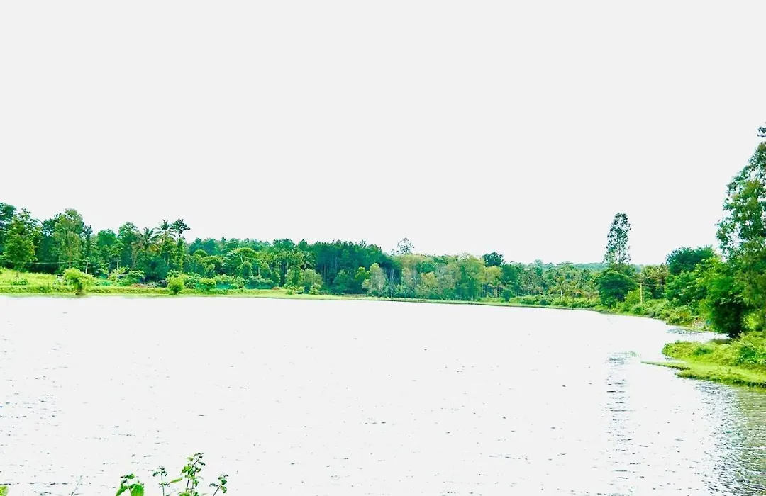 Nature View Homestay And Cottages-1