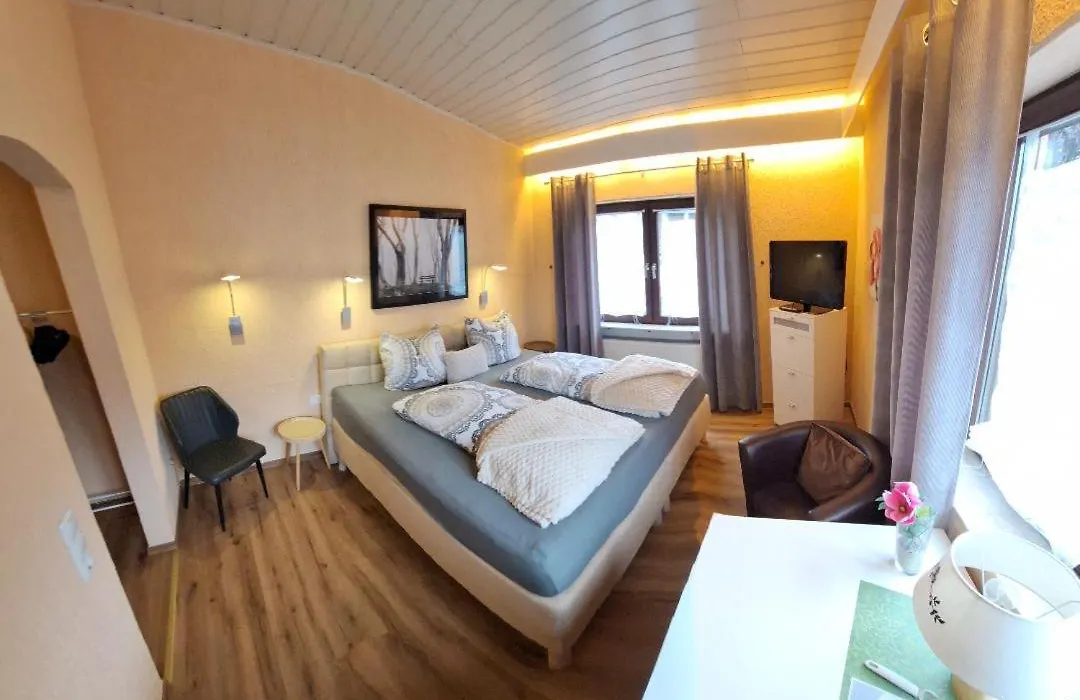 Hotel Irene-1