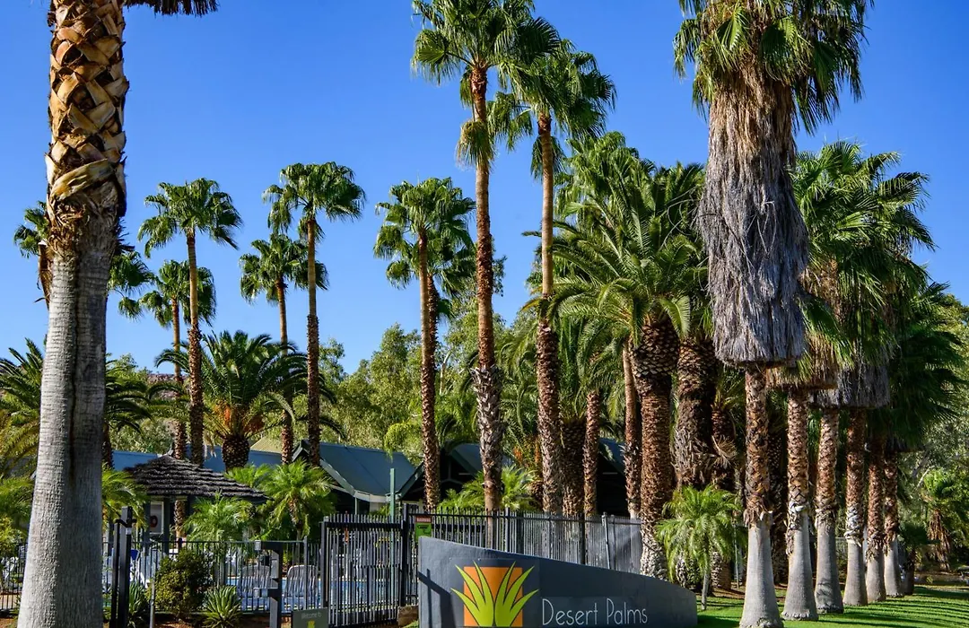 Desert Palms Alice Springs-1