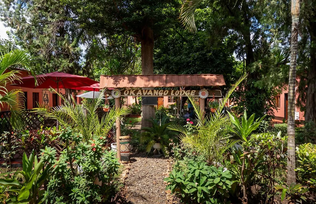 Okavango Lodge-1