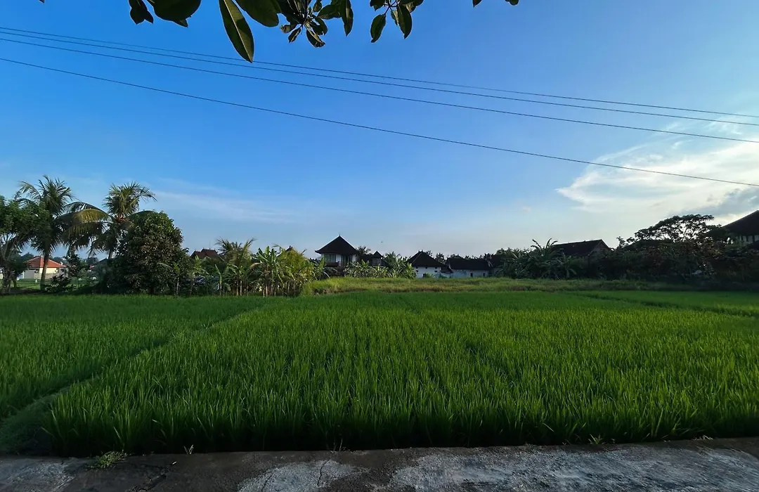 Villa Pondok Edi-1