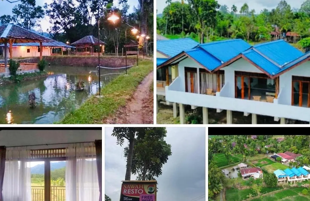 Sawah Resto Bungalow & Jungle Trekking-1