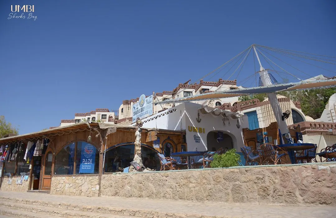 Umbi Sharks Bay Diving Village-1