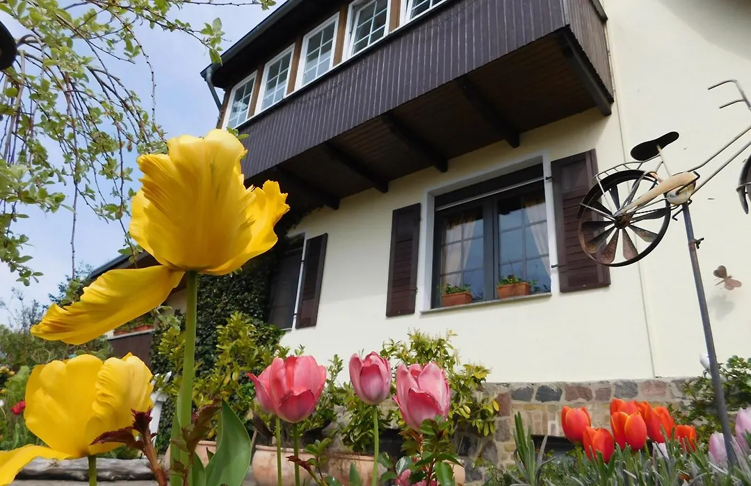 Pension Wiesenhof B&B-1