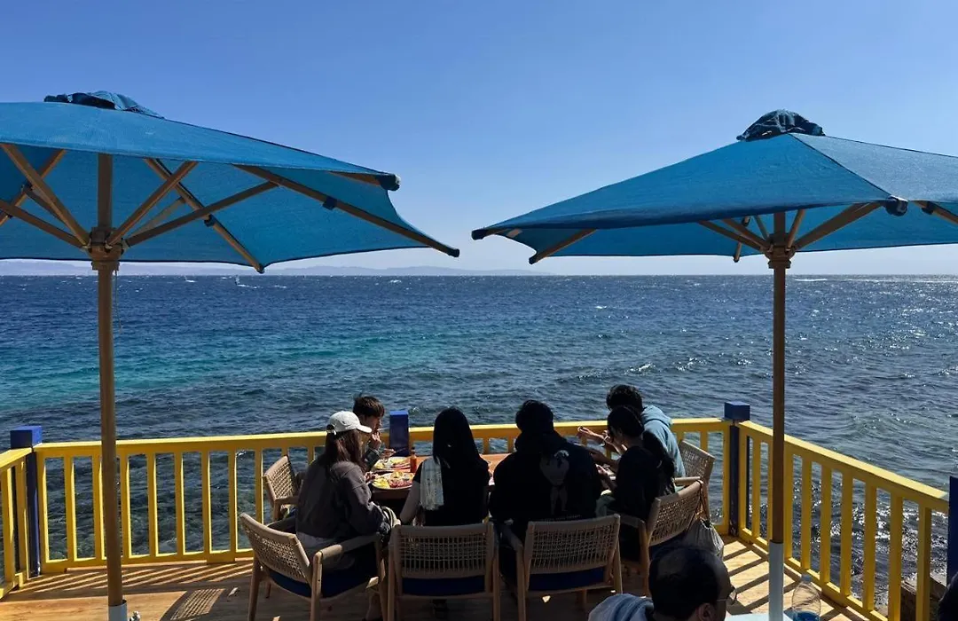 Chillax Dahab-1