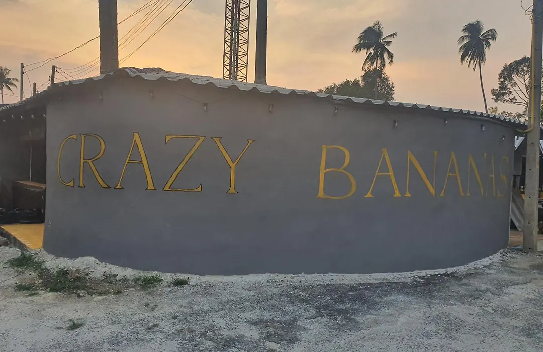 Crazy Bananas & Crazy Monkey-1
