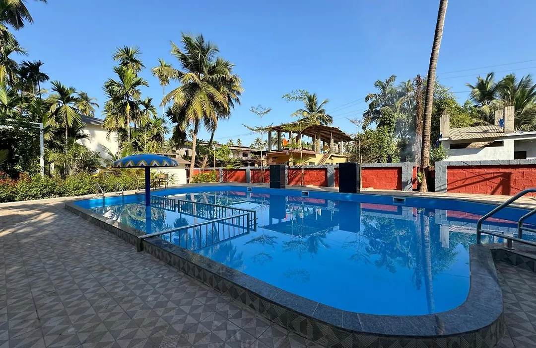 Vits Select Casuarina Diveagar-1