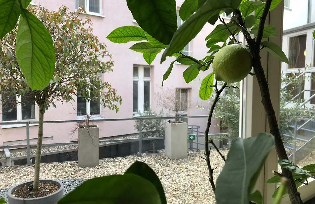 Hotel Kaiserhof-1