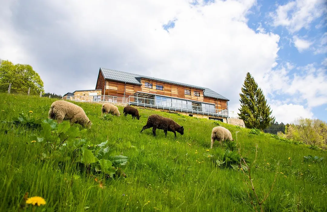 Amenity Hotel & Resort Spindleruv Mlyn-1