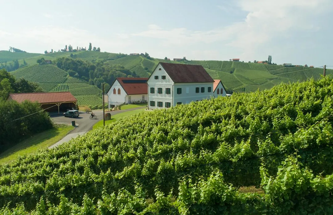 Weinschmiede 18'-1