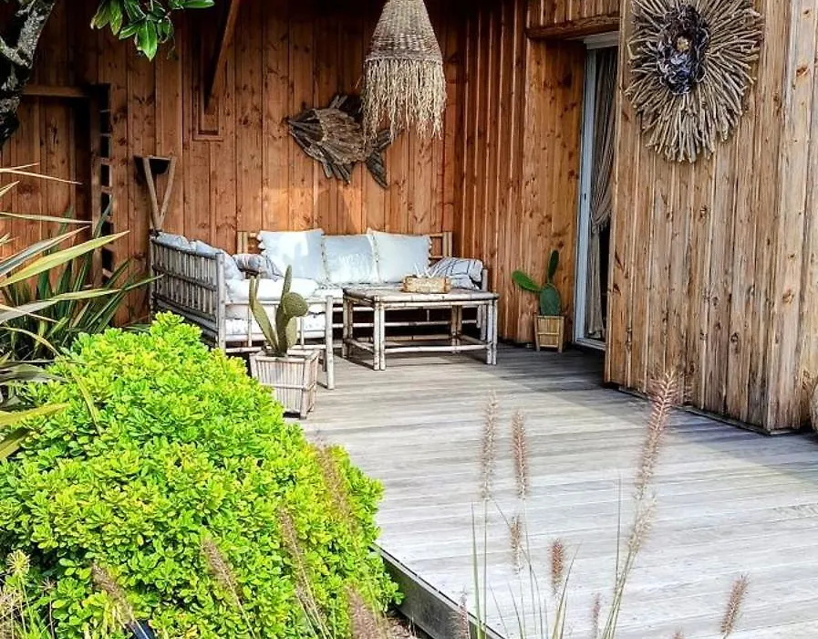 La Cabane Bohème, Maison d'hôtes Bassin d'Arcachon-1