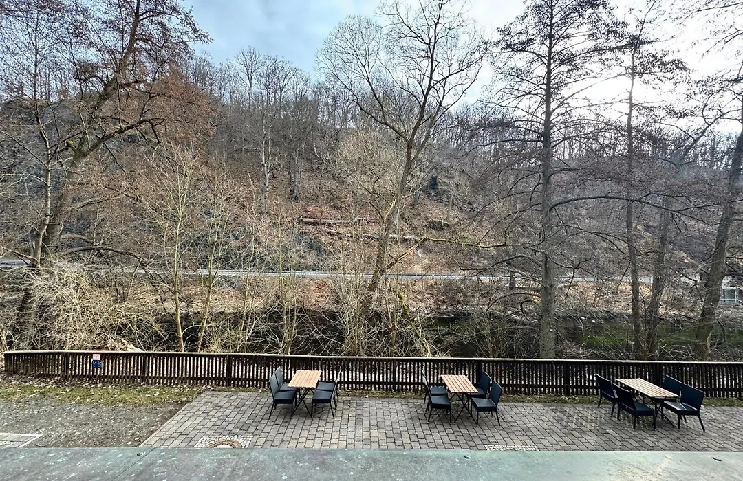 Hotel Bodeblick-1