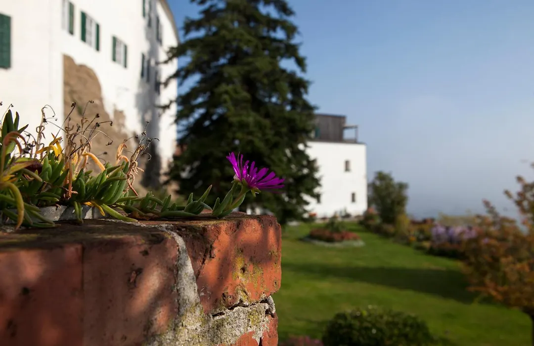 Schloss Kapfenstein-1