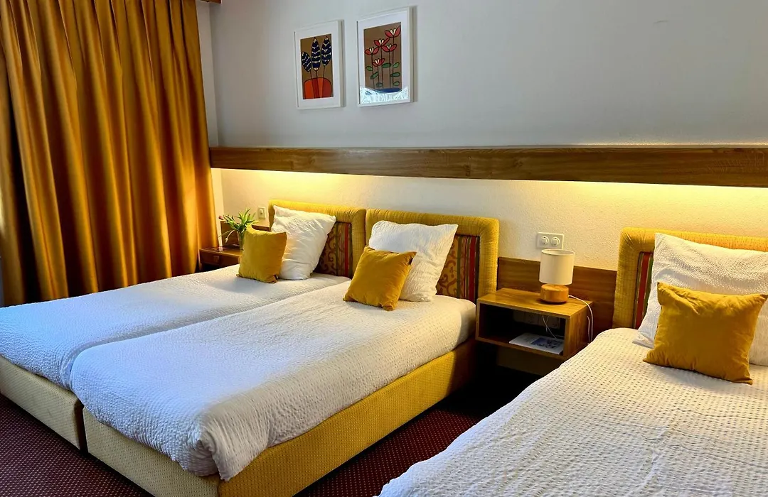 Hotel De La Foret-1