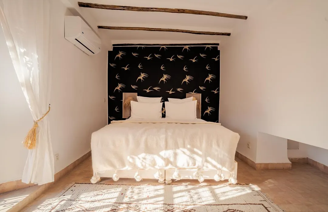 Riad Les Hirondelles Boutique Hotel And Spa-1