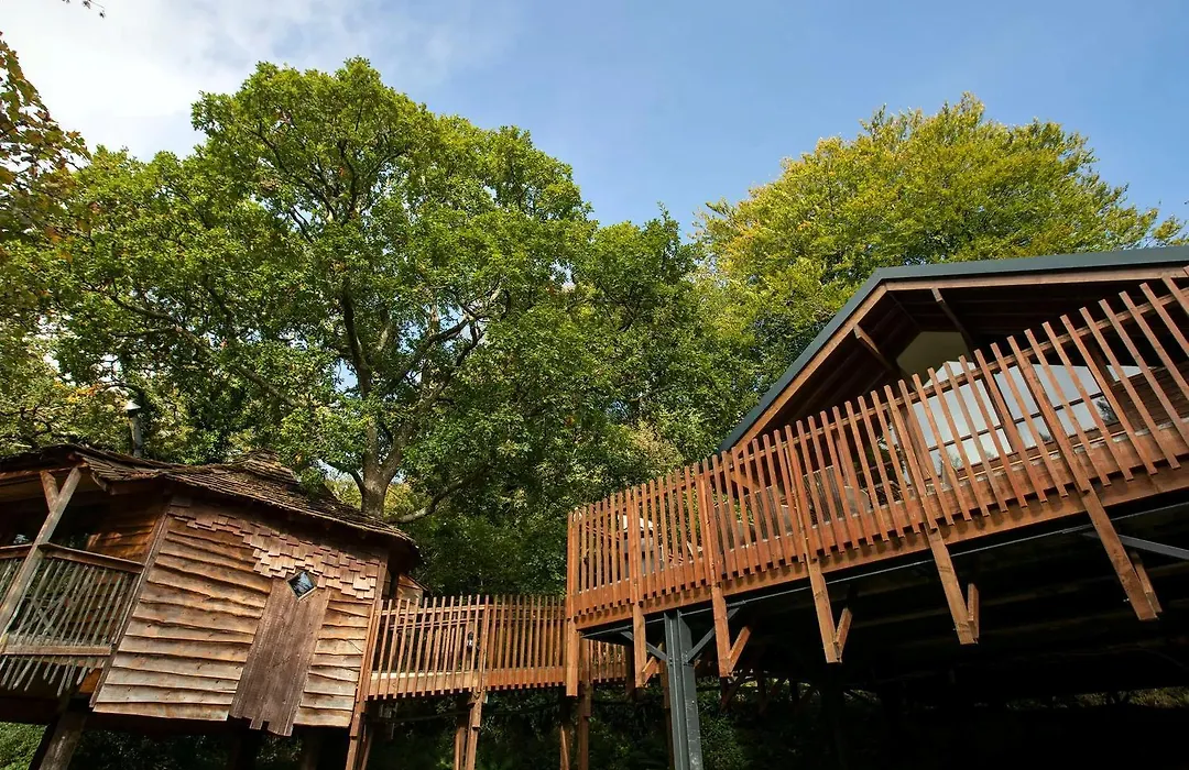 Deerpark Cabins, Cornwall - Forest Holidays-1