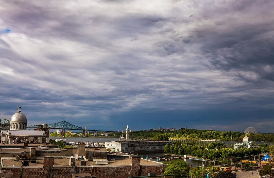 Lofts Du Vieux-Port By Gray Collection-1
