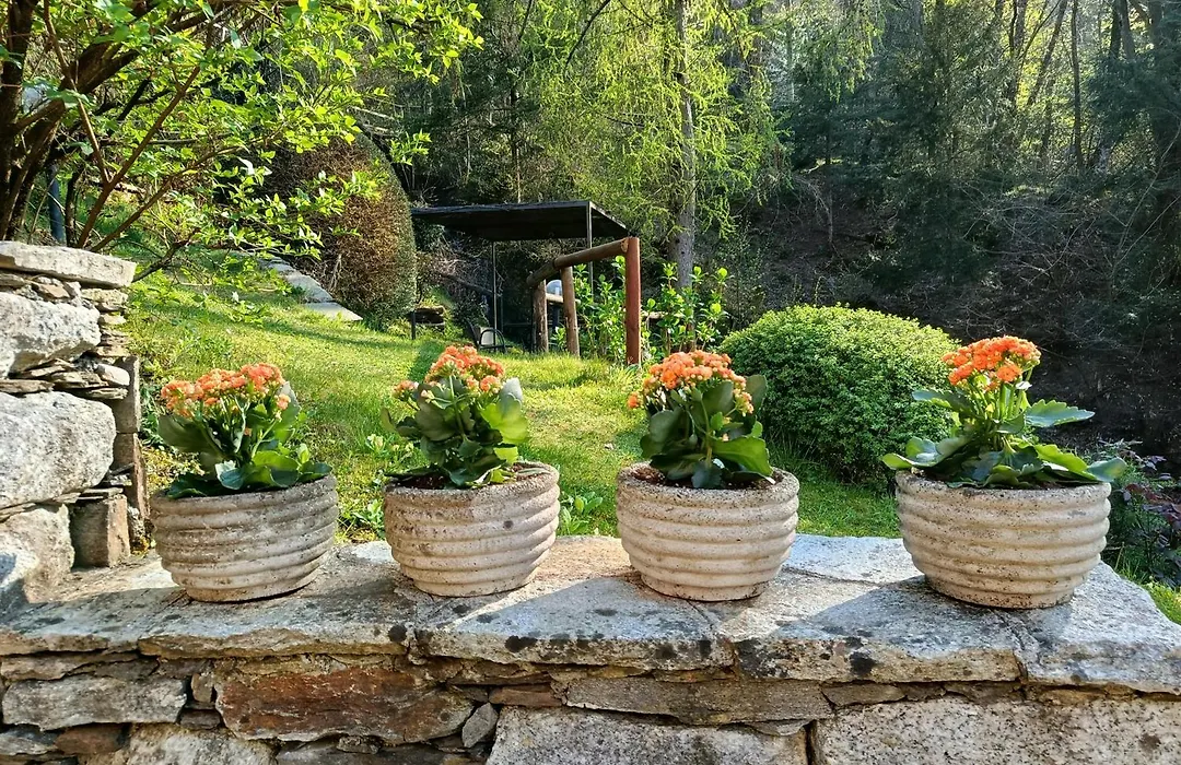 Cascina Nel Bosco-1