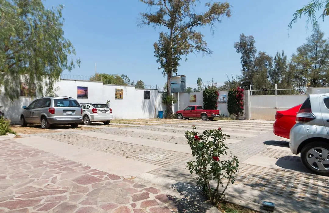 Capital O Hotel Vitale Leon Mx-1