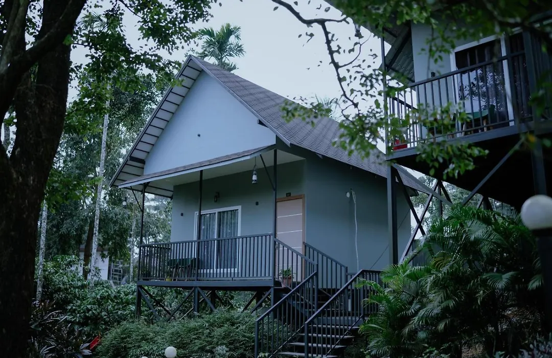Mountain Vibes Resort Wayanad-1
