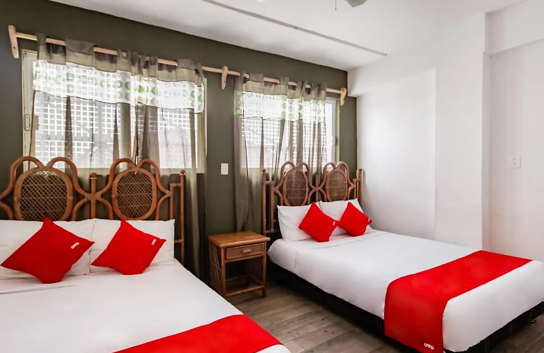 Oyo Hotel Halley-1