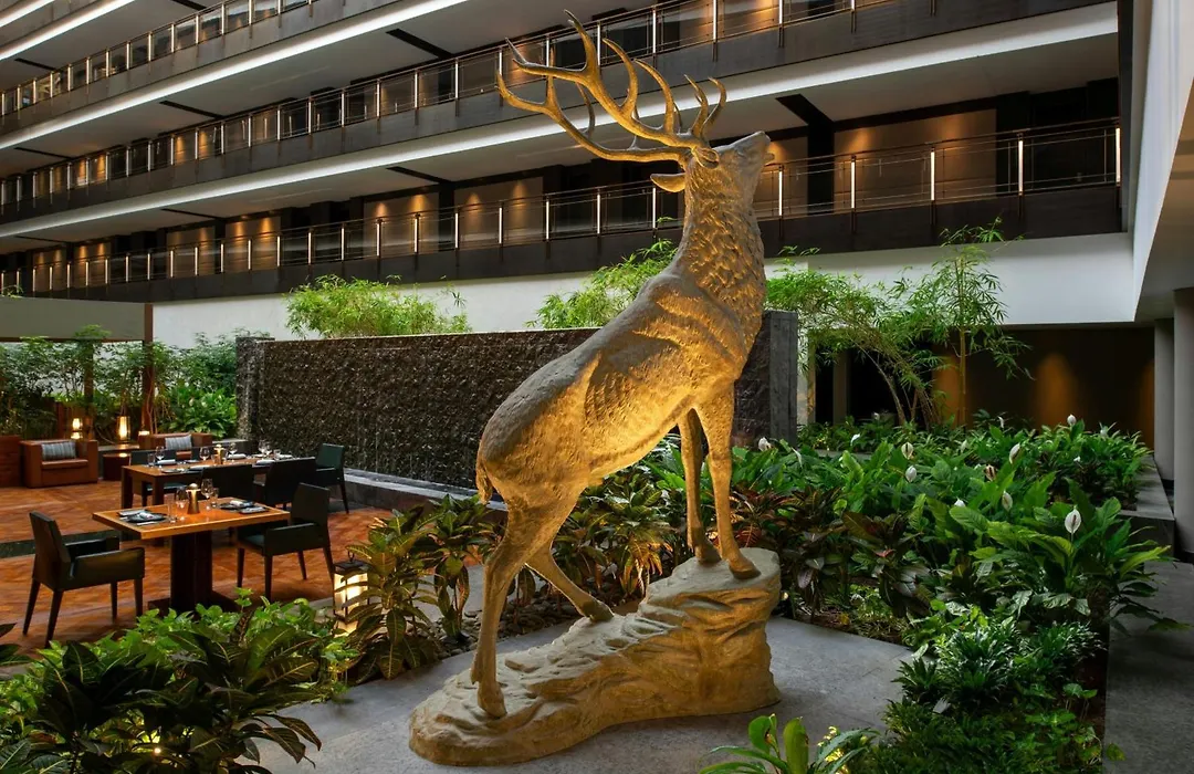 The Westin Doha Hotel & Spa By Marriott-1