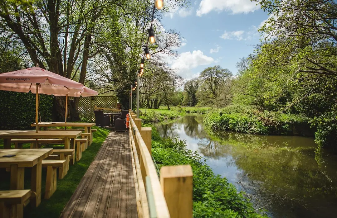 The Stag On The River-1