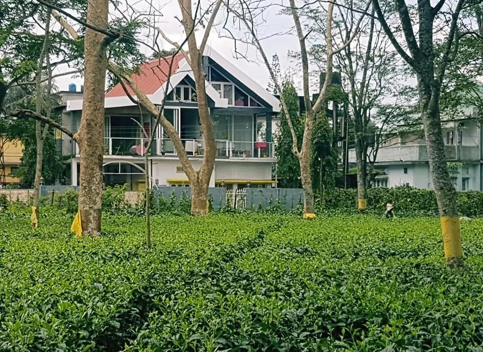 Super Luxury Gold Room With Private Pool At Homestay By The Tea Garden Dibrugarh-1