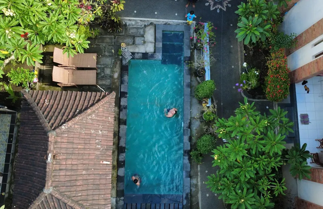 Nami House-1