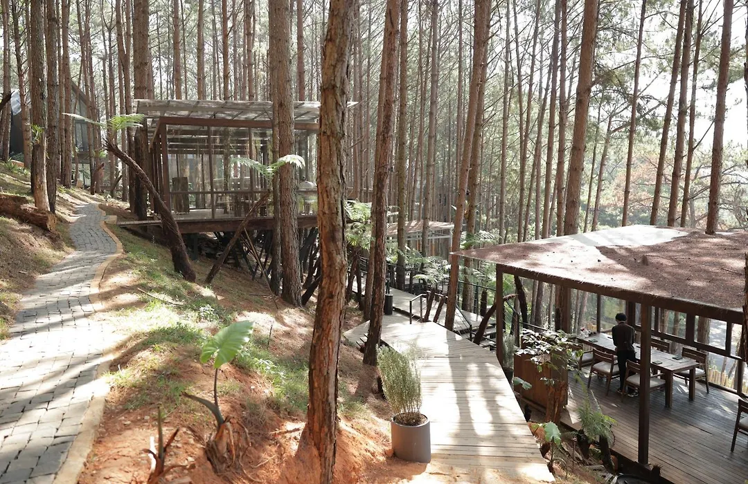 Mo Stay - Forest Resort-1