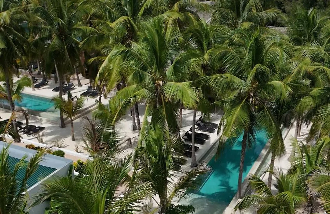 The Oasis Residence-1