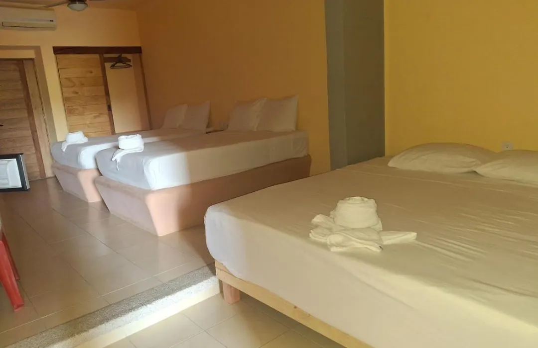 Hotel Tortuga Real-1