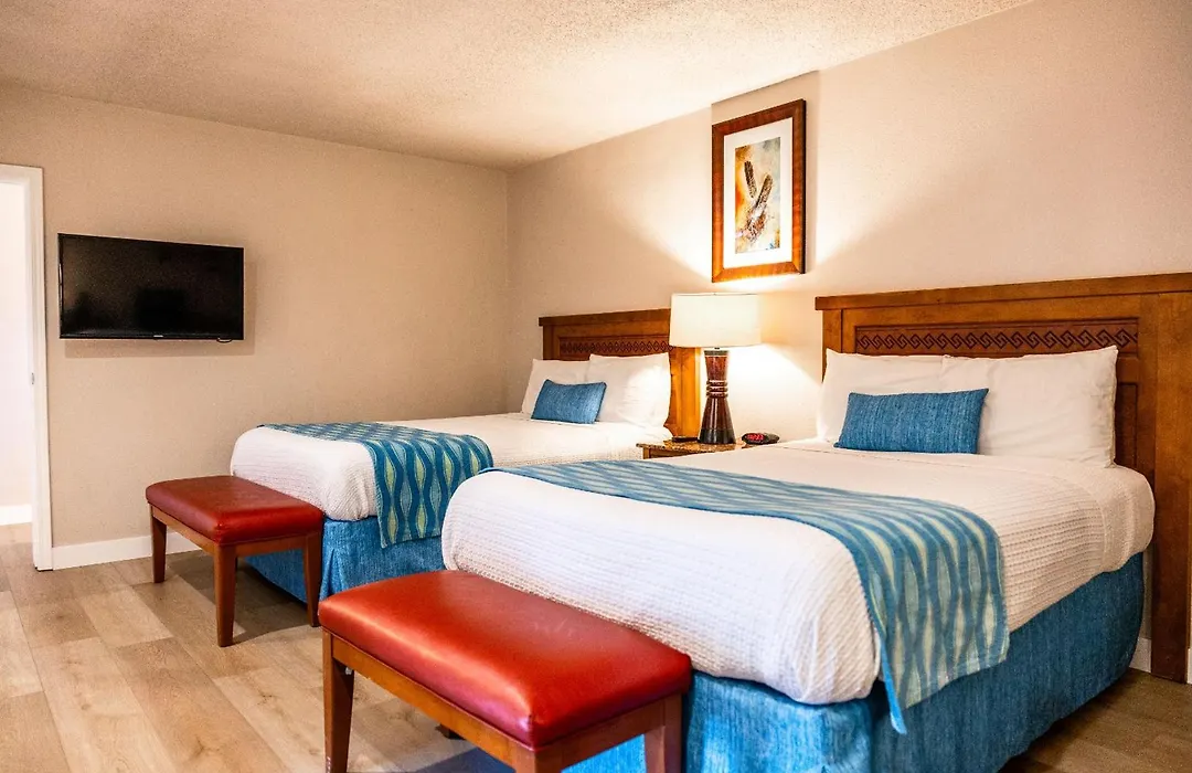 Alamo Inn&Suites - Convention Center-1