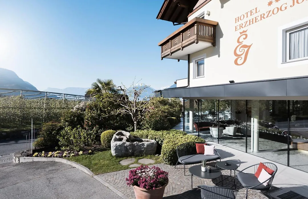 Hotel Erzherzog Johann-1