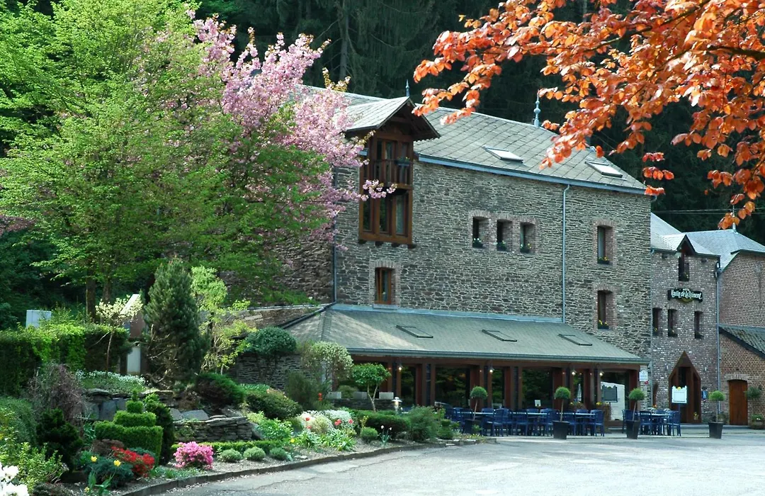 Hôtel Moulin de la Strument-1