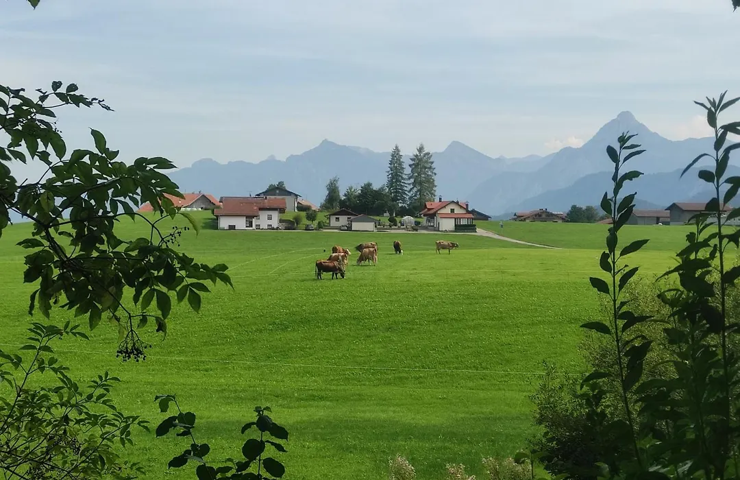 Landhaus Weißer Hirsch-1