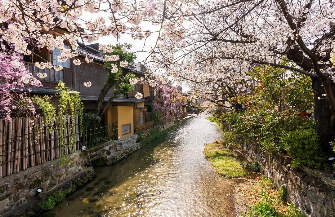 Stitch Hotel Kyoto-1