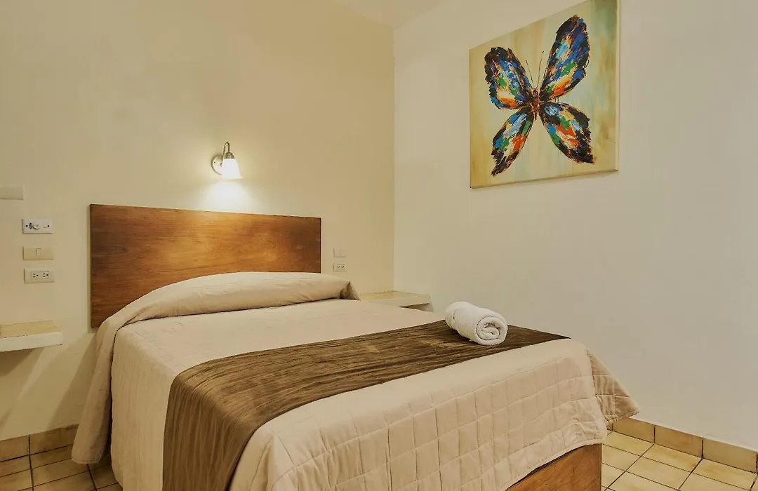 Hotel Cervantino-1