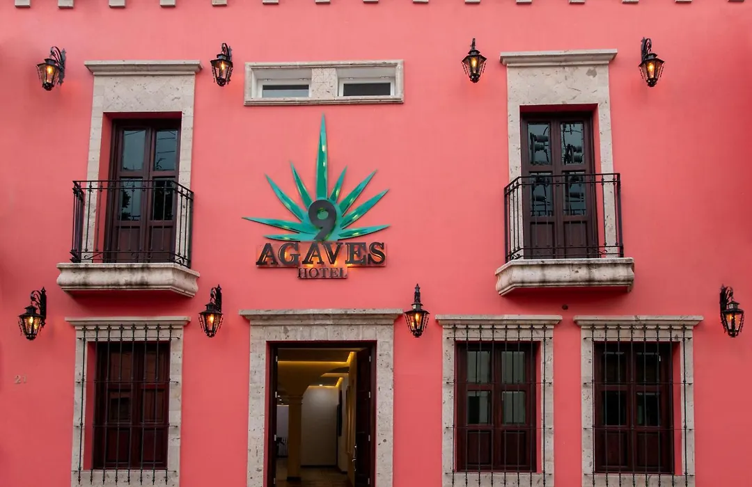 Nueve Agaves Hotel-1