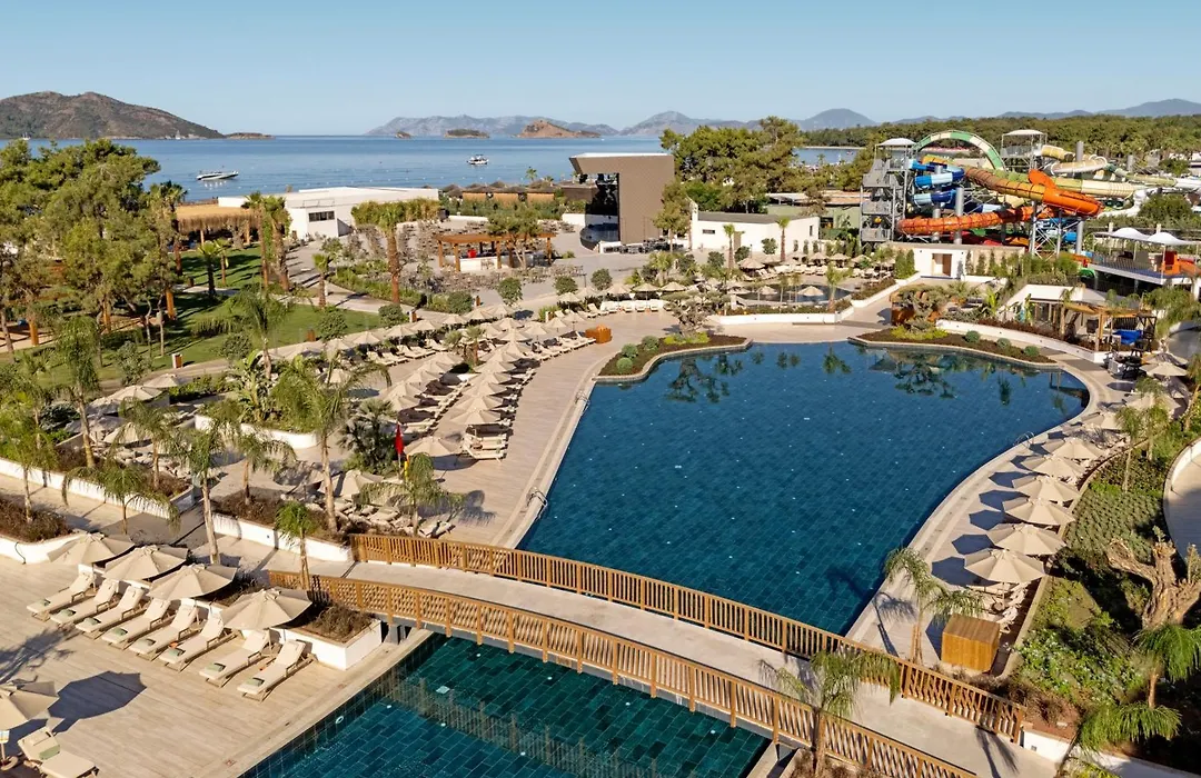 Liberty Signa-1