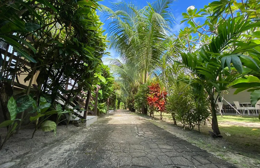 Vivo Siargao-1