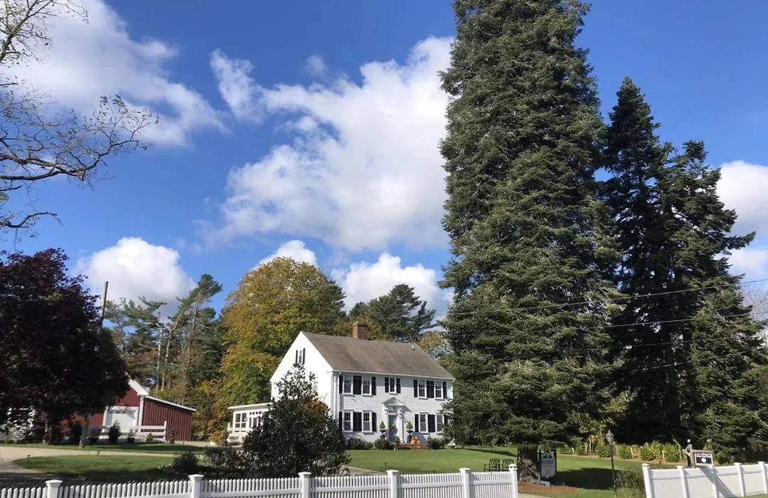 Silvershell Inn-1