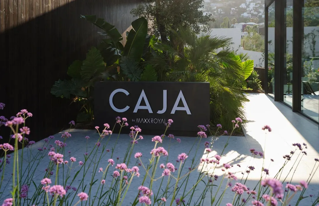 Caja By Maxx Royal-1