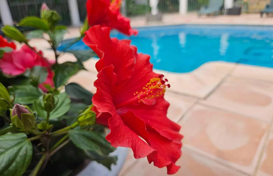 Les Jardins Du Patriarche Hotel-1