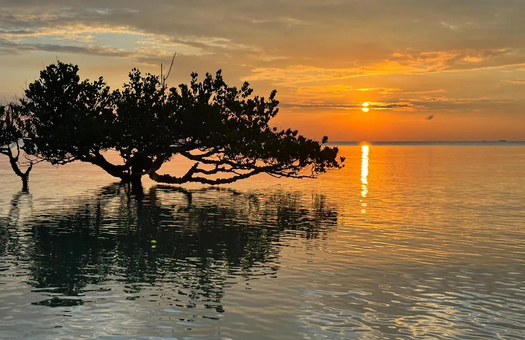 Mangrove Lodge-1