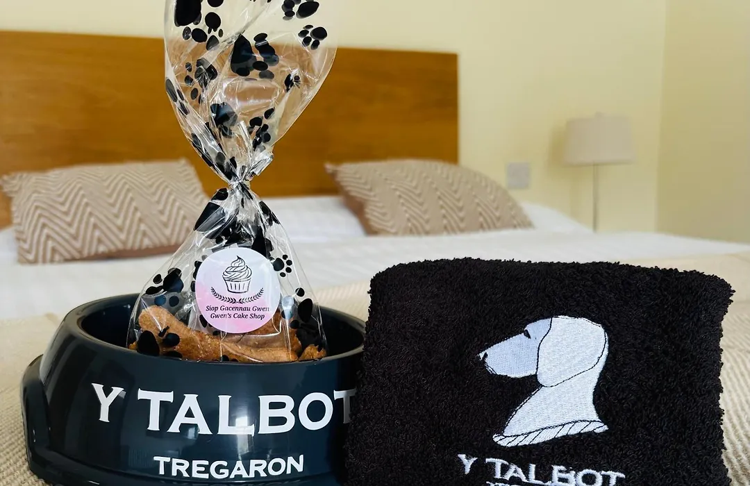 Y Talbot-1