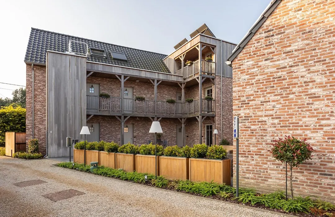 B&B Sasput-1