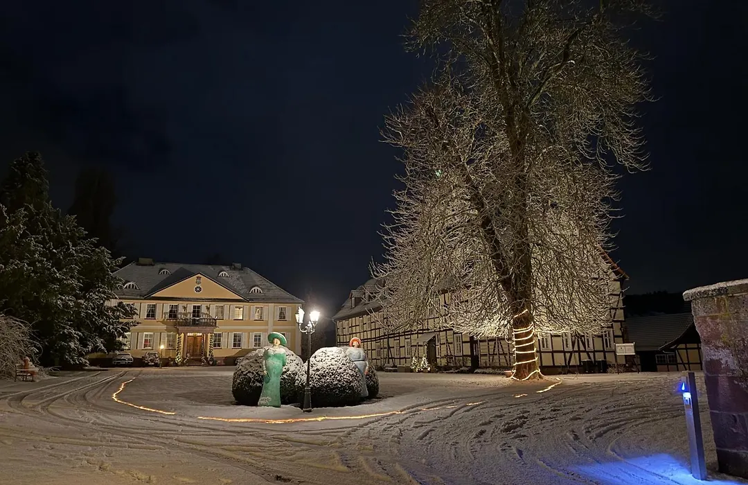Hotel Kavaliershaus/Schloss Bad Zwesten-1